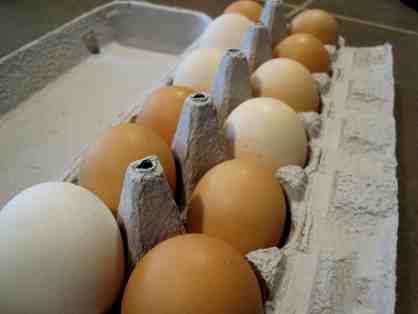 The Yolks For You! -- Fresh to You Weekly