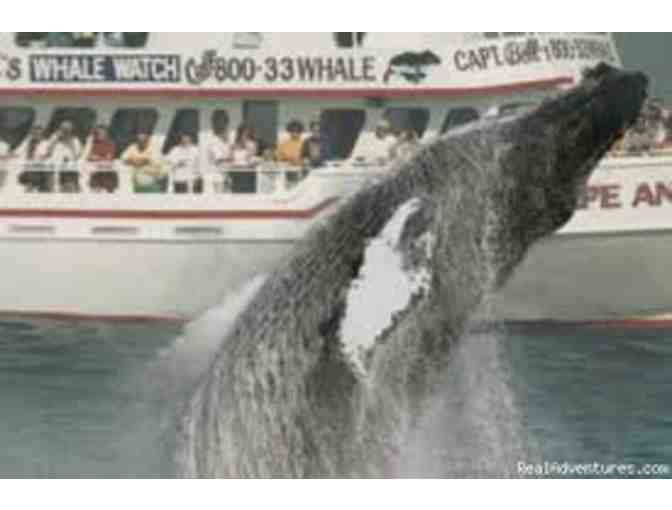Captain Bill & Sons Whale Watch Gift Certificate