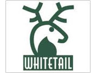 Whitetail Resort - Two Beginner Learn to Ski or Snowboard Packages