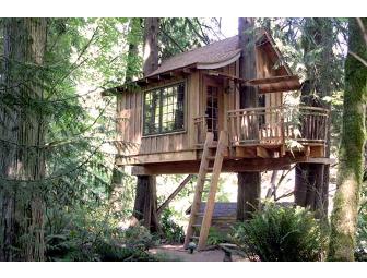 Spend a Night in a  Luxury Treehouse!