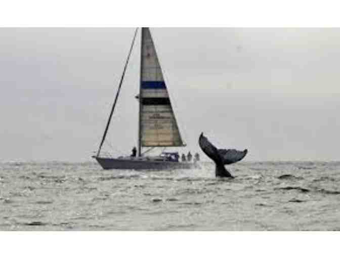 Chardonnay II Sailing Charters - Gift Certificate for 2