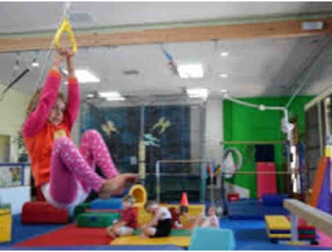June Bug's Gym- 1 month gymnastics class