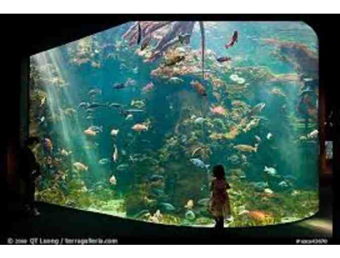 California Academy of Sciences - 4 General Admission Tickets