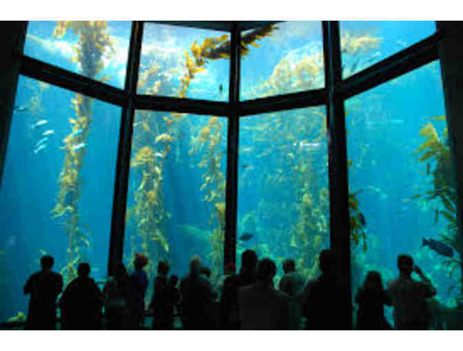 Monterey Bay Aquarium- admission for 2