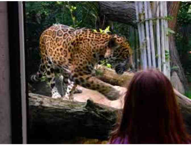 Happy Hollow Park and Zoo - Admission for 4