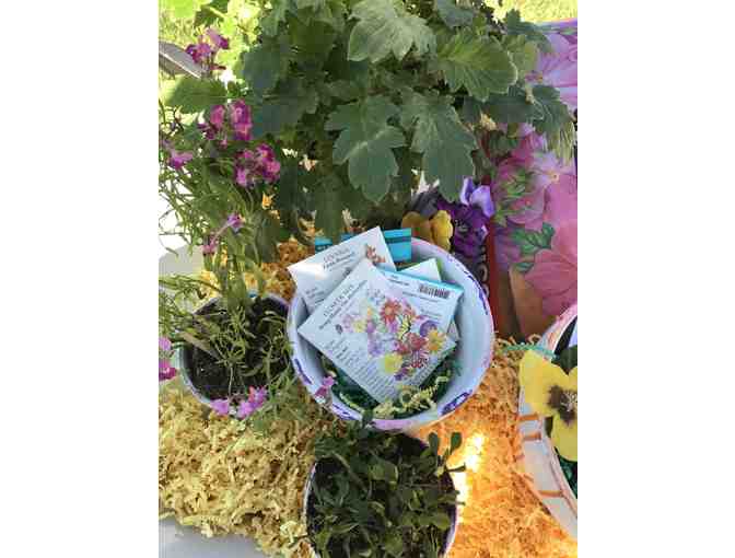 Ms. Macs' class - 'Butterfly Garden' Wheelbarrow