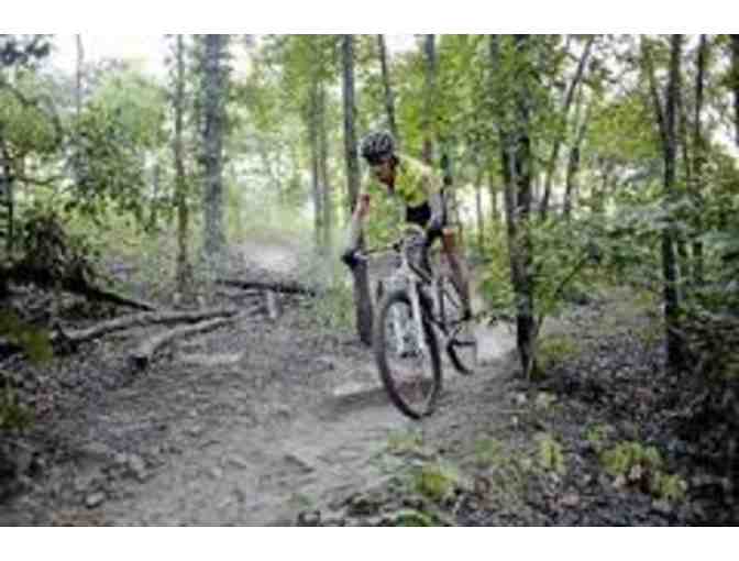 Tomâs Bicycles Rental for 2