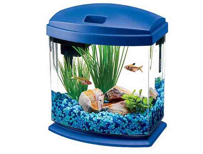 Aqueon Aquarium Kit with Betta Fish - Photo 1