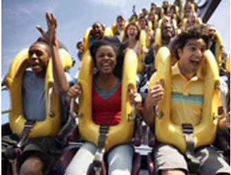 Six Flags Friends - Two One-Day Passes