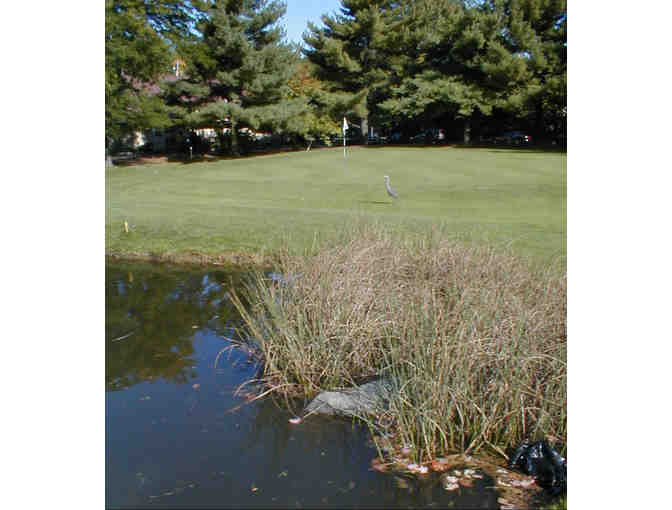 Sterling Golf Management - Round of Golf for Four at Newton Commonwealth Golf Course