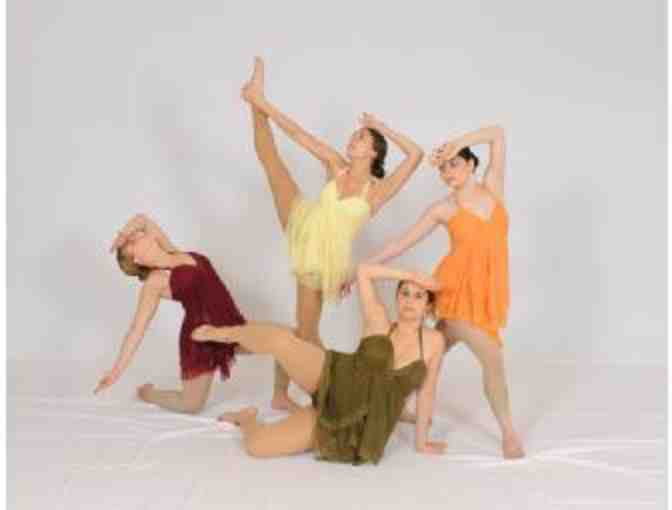 The Dance Academy of Siagel Productions - 1 Hour Dance Class for up to 20 People!