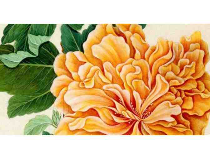 Peabody Essex Museum - 4 Passes for General Admission