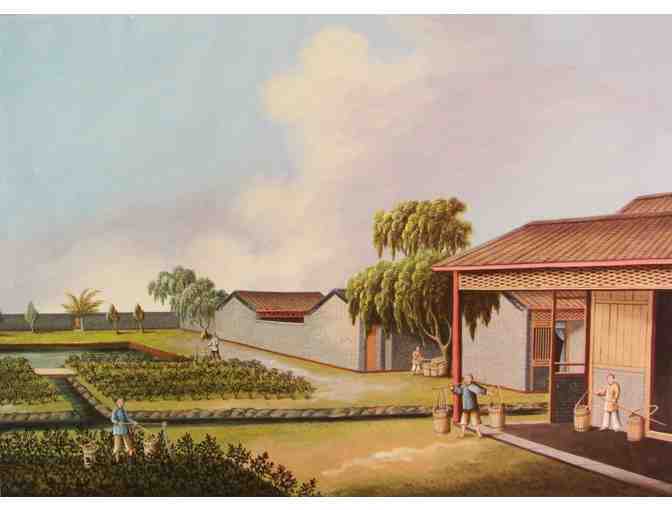 Peabody Essex Museum - 4 Passes for General Admission