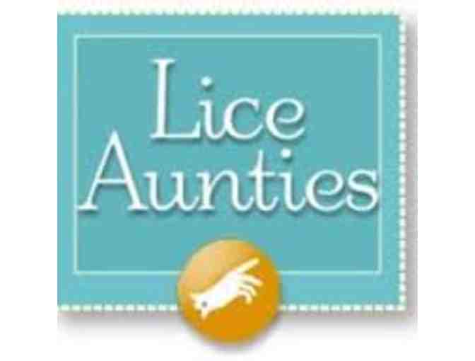 Lice Aunties - Package of 4 Head checks- Take the stress out of lice!