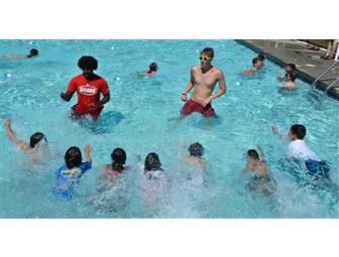 Beaver Summer Camp - One Two Week Session