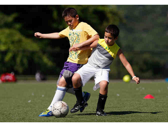 Dexter Southfield Summer Camps - One Week of Any 2016 Summer Camp