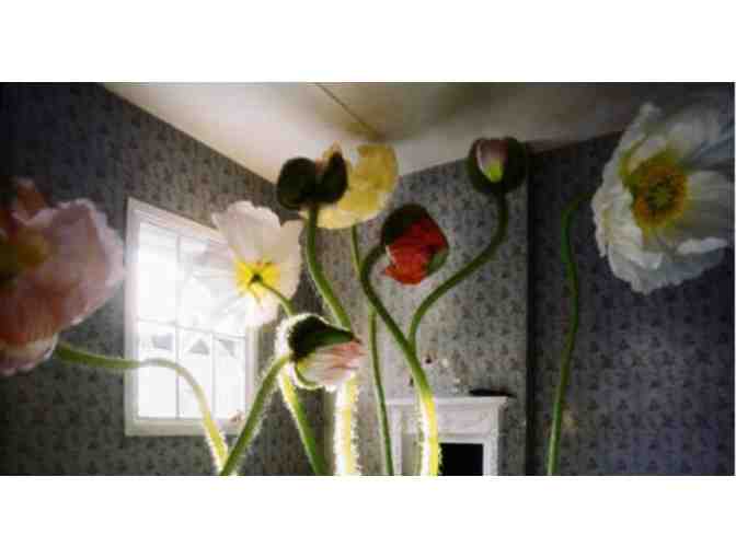 Peabody Essex Museum - 4 General Admission Passes