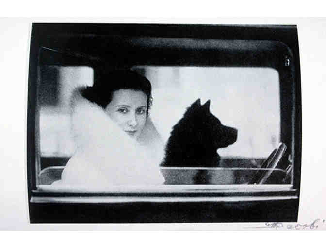 deCordova Sculpture Park & Museum - Admission for Four.