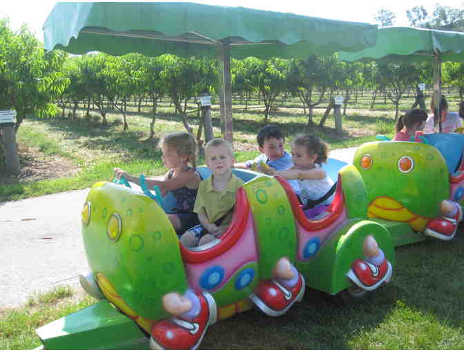 Belkin Family Lookout Farm - Four Day Passes