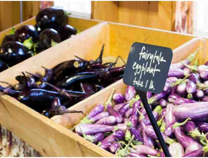 1 Week Farm Share from Waltham Fields Community Farm
