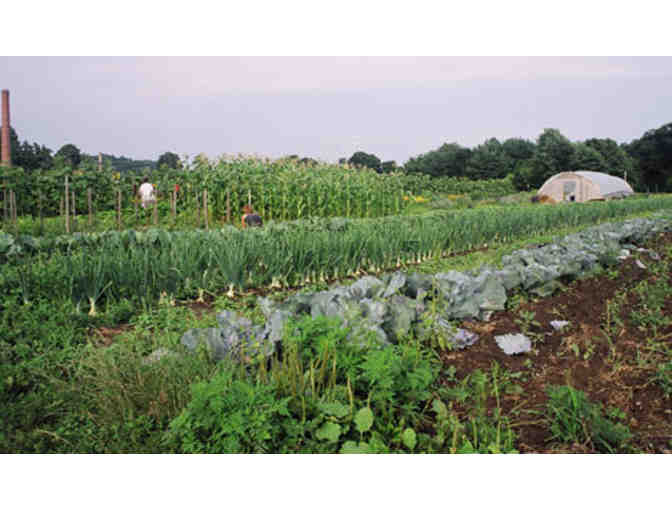 1 Week Farm Share from Waltham Fields Community Farm