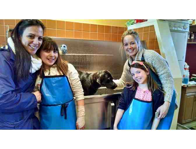 B.Y.O.D Dog Wash - Uber Spa Package for Your Dog!