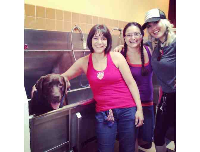 B.Y.O.D Dog Wash - Uber Spa Package for Your Dog!