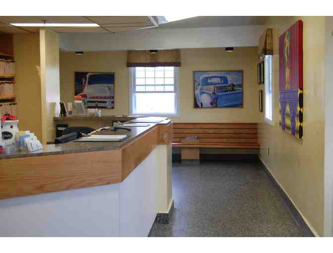 Find Out What it is Like to Be a Vet with Dr Wissel At Commonwealth Veterinary Hospital