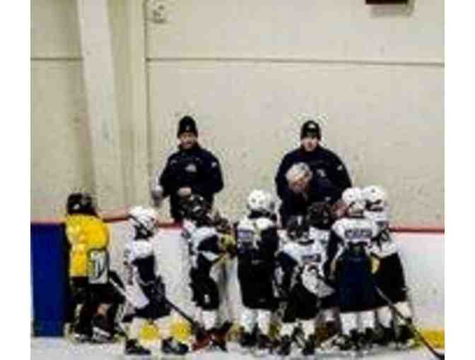 Michals Hockey Academy - One Week of 1/2 Day Hockey Camp
