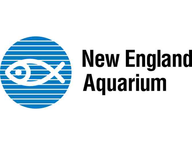 New England Aquarium Behind-the-Scenes Tour for 4 with Mason-Rice Dad Jeremy Brodt!