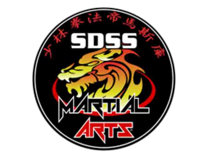 1 Month of Lessons at SDSS Martial Arts in Newton Centre!