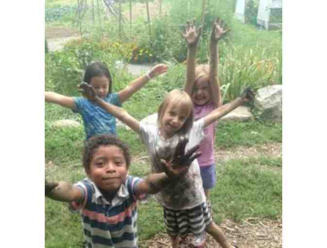 Newton Community Farm - $50 Gift Certificate for ANY Class or Camp! - Photo 4