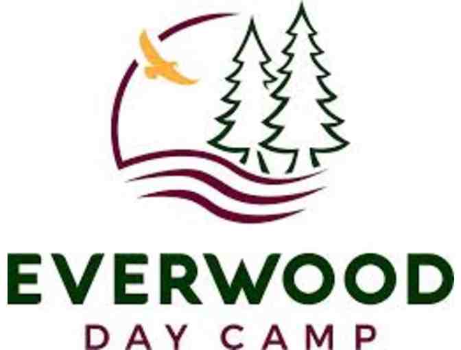 Everwood Day Camp in Sharon, MA - $325 Toward Any 2020 Summer Session