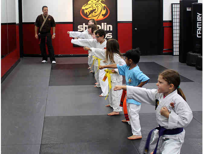 1 Month of Lessons at SDSS Martial Arts in Newton Centre! - Photo 2