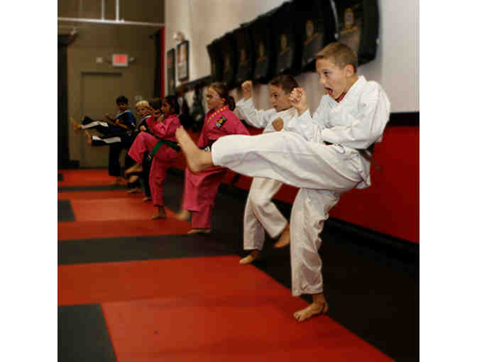 1 Month of Lessons at SDSS Martial Arts in Newton Centre!