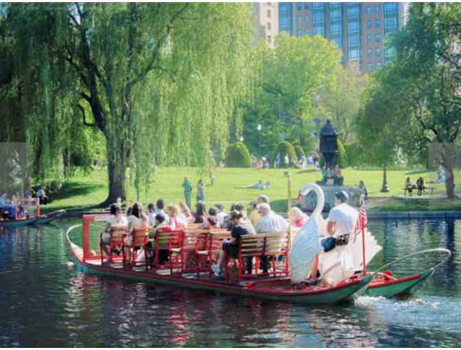 Swan Boats - 4 Free Rides