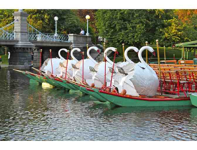 Swan Boats - 4 Free Rides