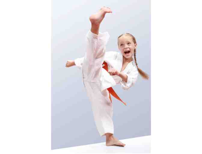 Giroux Bros. Martial Arts - Gift Certificate for Karate Birthday Party - Photo 3