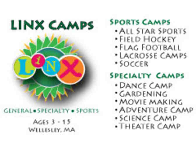 LINX Day Camp - $600 Discount Pack - 3 x $200 off per week of summer camp