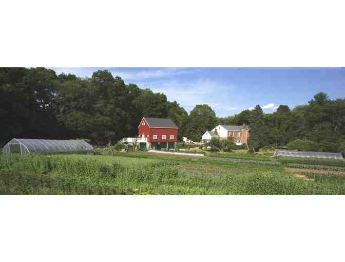 Newton Community Farm - $50 Gift Certificate