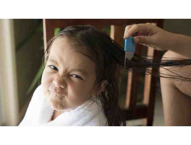 Lice Aunties - Gift Certificate for 4 Head Screenings and Lice Prevention Kit - Photo 2