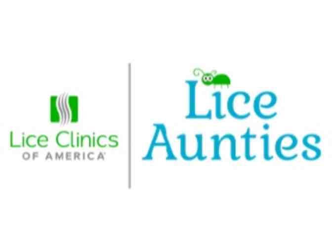 Lice Aunties - Gift Certificate for 4 Head Screenings and Lice Prevention Kit - Photo 1