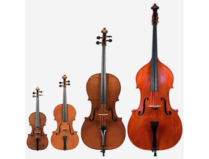 Johnson String Instrument and Carriage House Violins - $100 Gift Card