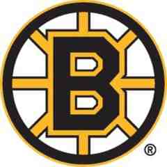 The Boston Bruins