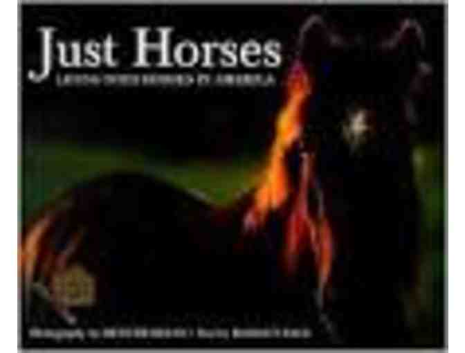 A Quarter Page Ad and Listing in Just For Horses Directory -2017