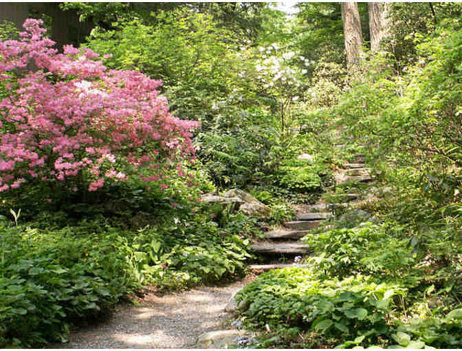 Garden in the Woods - Four Passes (Framingham, MA) - Photo 1