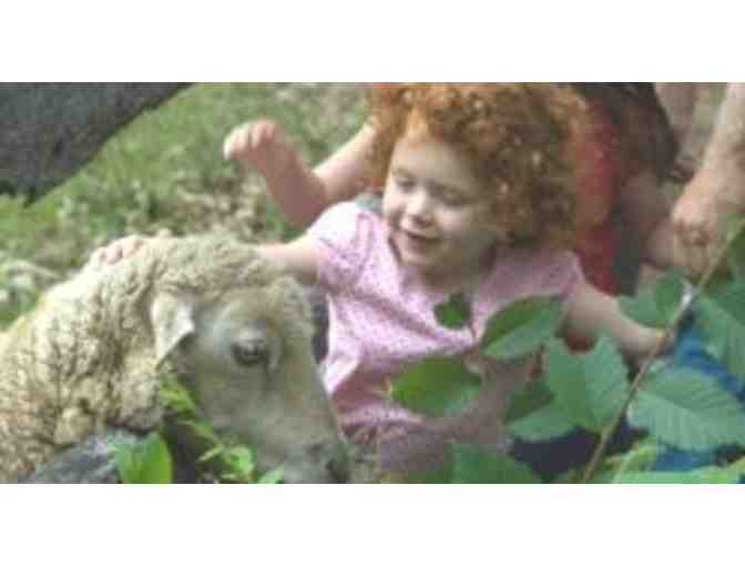 Old Sturbridge Village - Family Admission Pass (Sturbridge, MA)