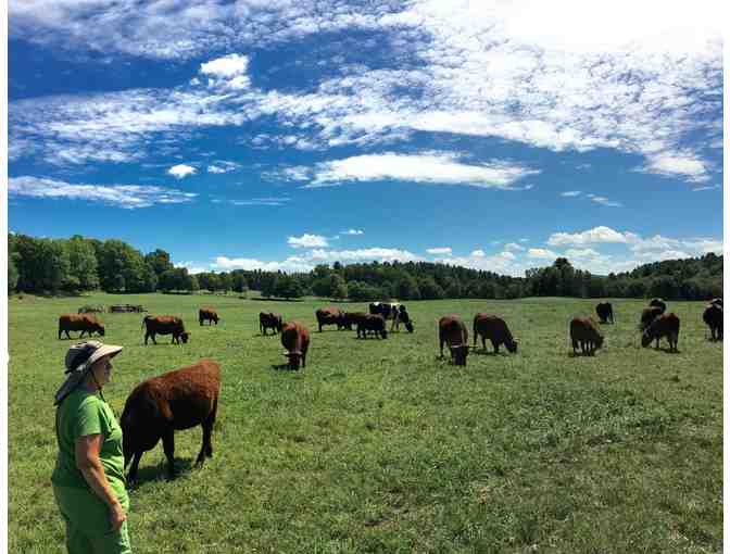 Walker Farm at Whortleberry Hill - $50 Gift Certificate for Grass-Fed Beef (New Braintree)