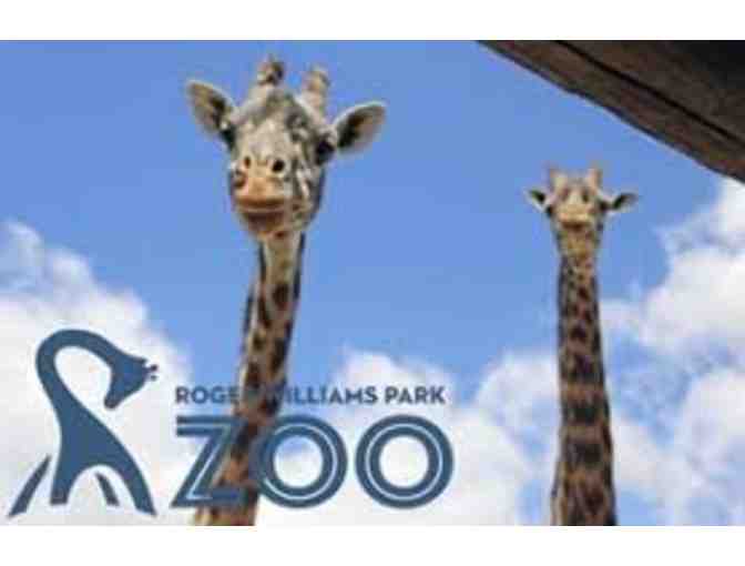 Roger Williams Park Zoo - Four Zoo Admission Passes (Providence, RI)