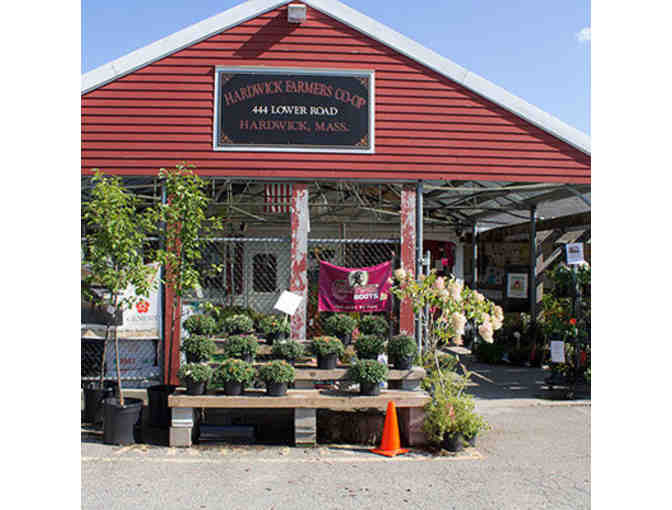 $100 Gift Card to Hardwick Farmers Cooperative Exchange (Gilbertville, MA)